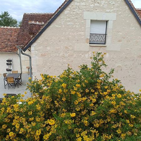 Gite De La Grand Maison Le Noyer Seigy ภายนอก รูปภาพ
