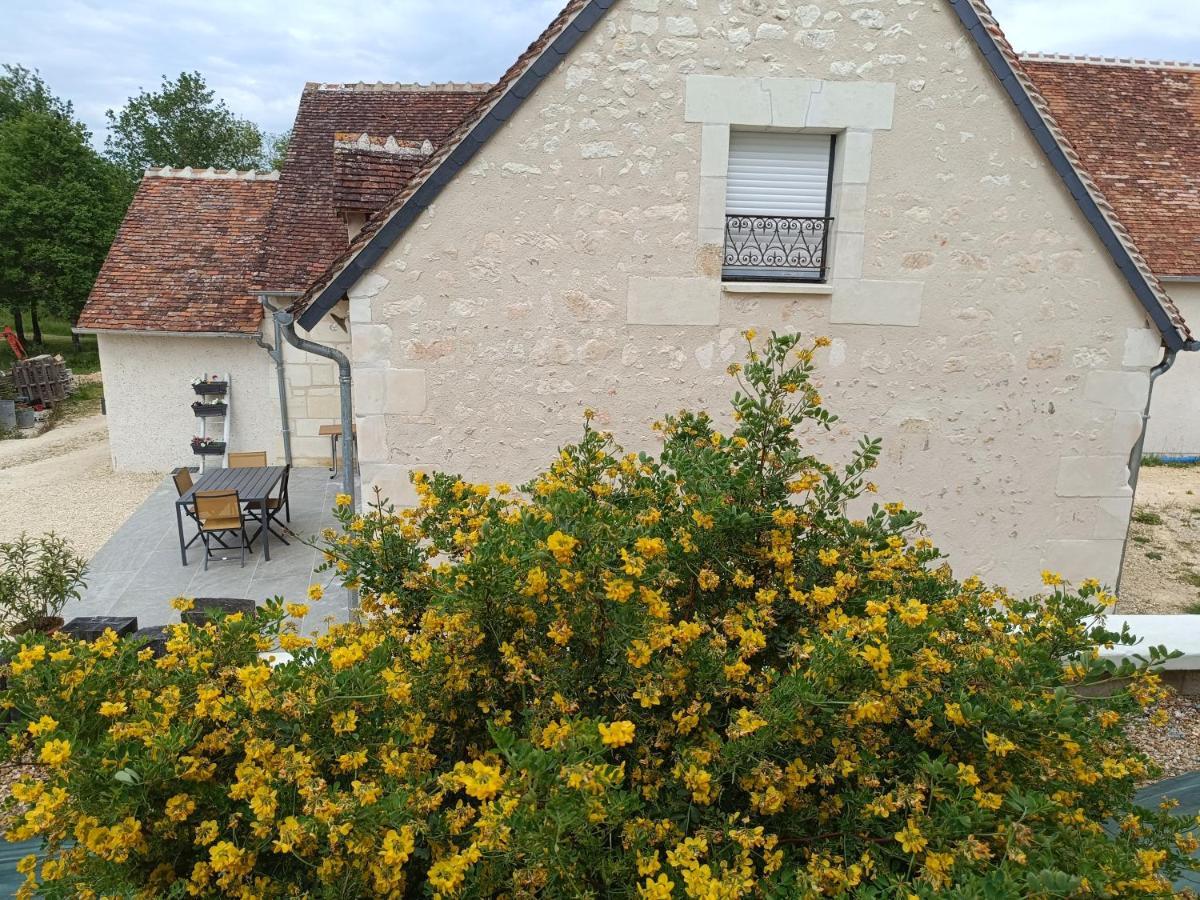 Gite De La Grand Maison Le Noyer Seigy ภายนอก รูปภาพ